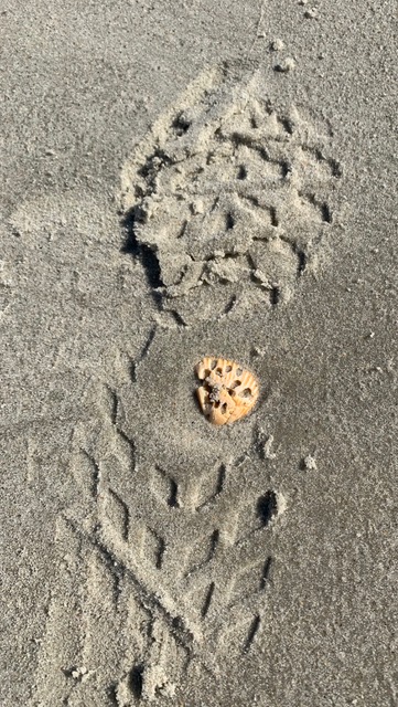 70C3AD38-A37F-448A-9569-68F78AA921ED