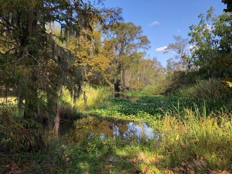 GY4behKORNiIyPquh%iPVA