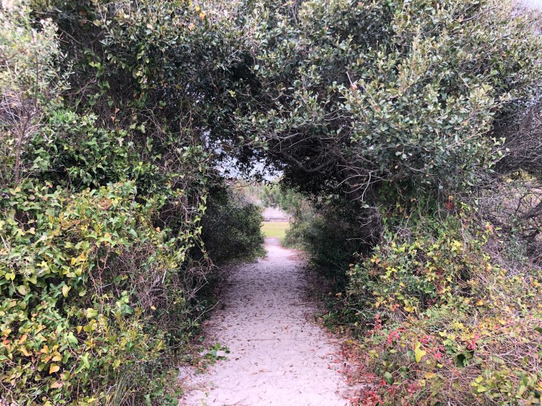 jO7zYs7sTCKXaYVF523kLg