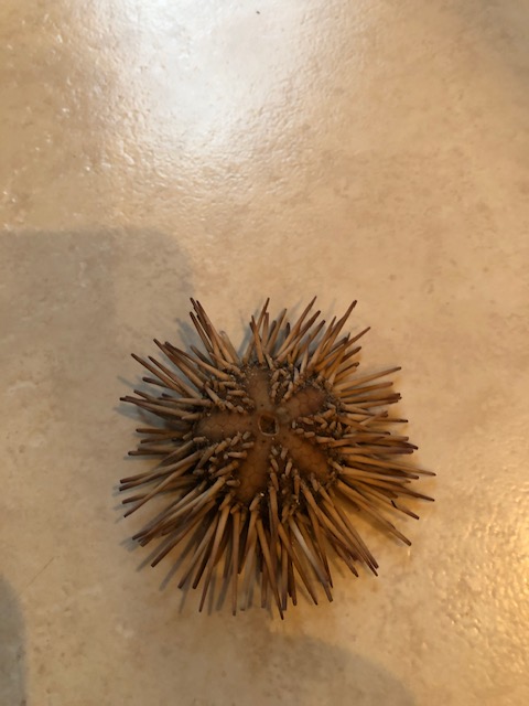 208A95F5-2552-49AE-8AE4-F7B00AF536D8