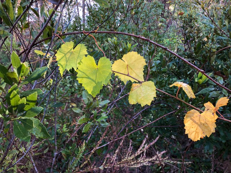 4E261269-E06D-4166-B92D-9BB7BA99BAF4