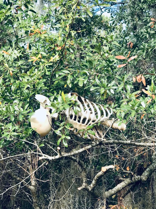 7125A5F4-F6E7-4309-8546-AFD9DEDA94FD