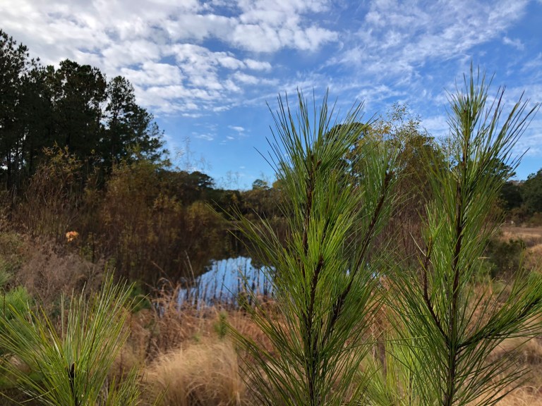 B6B98FC1-6569-4E0C-9C64-582FE91E436F