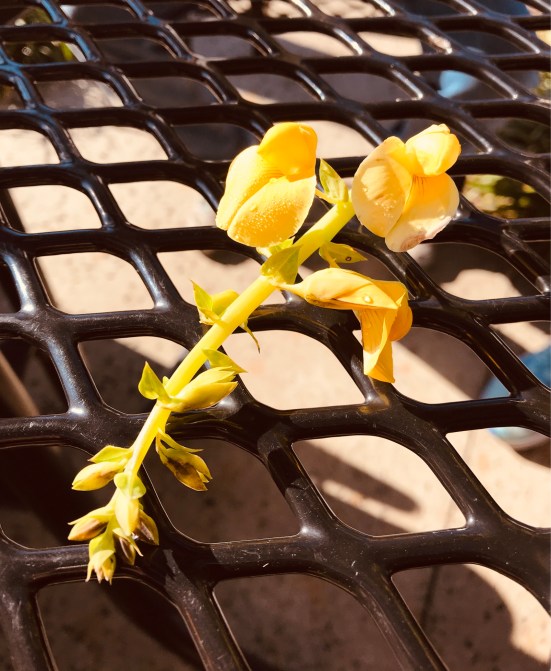 CBFB3CD5-6F36-4D8B-A53F-8AFBC4DBD7B3