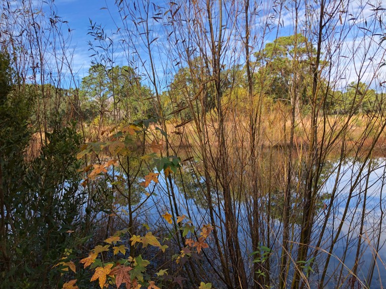 FBDD8D99-5BF5-461C-9512-C9A932A917A0