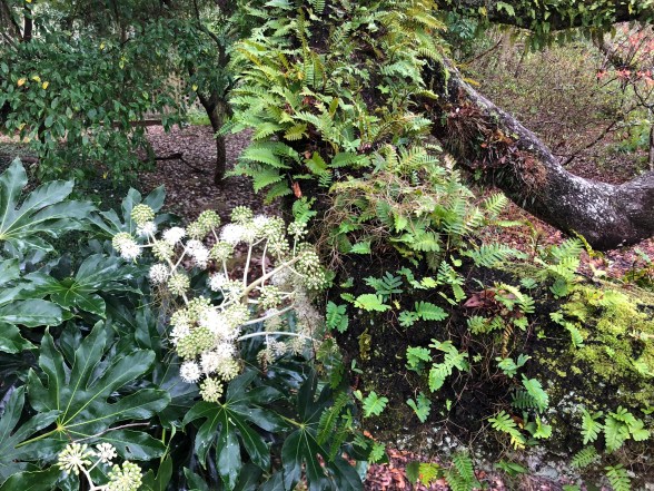 271B9ED9-4198-4DF0-95AD-CF85C64D0234