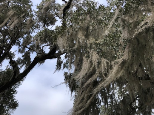 50AD8AEB-003A-4A77-BA63-246D3A5CDDD2