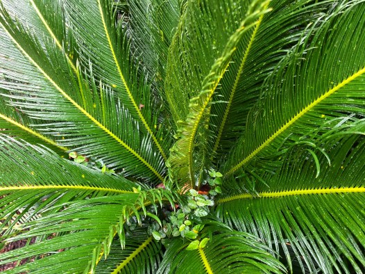 73119D7E-130F-4115-B1EF-5F446CAC3B63