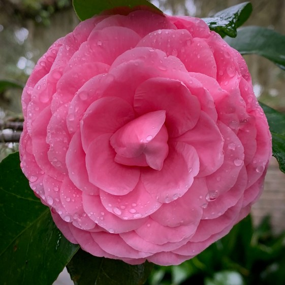 B9311EC5-8E01-4176-B17D-4CC0B3FD07F9