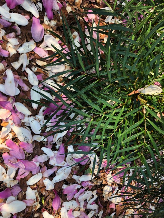 9688DF1A-C6B7-4081-99E2-2944AD7DA3DB