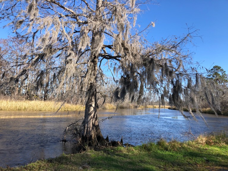 A8949EF3-A938-4467-8C36-60CB766563BA