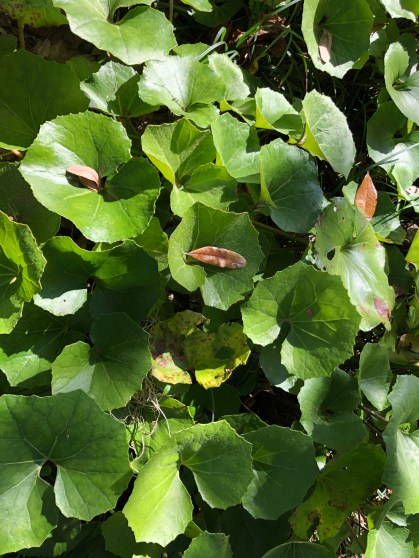 35BE810A-CDF7-4054-8931-C039EBB1FEAD