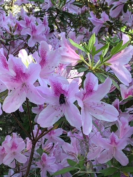 48DBBD64-9584-4D35-B3FD-25DD4FDE4127