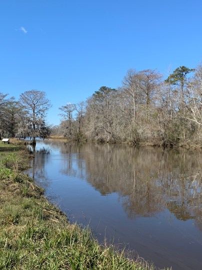 6541C592-BA69-43FC-BCB6-1EE95A02BE1C