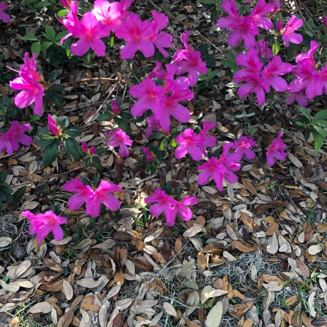 BF6ED997-A1E6-4582-8C81-D816C5C9A6DA