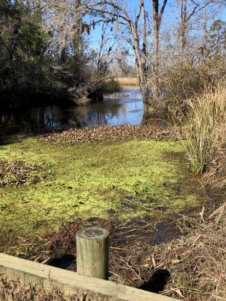 D28D55EA-9DE1-4CFE-9602-49560369F392