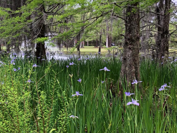 130EC948-A799-4660-8301-00EE328FE3B9_1_201_a