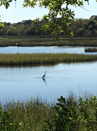 26F754A9-FB1F-4F26-8D6C-D50B384A121D