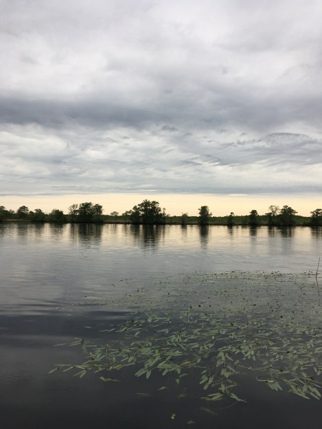 8423BE4D-8B6C-41AE-8C6D-110C8FD40C53