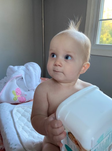 C9E26CE9-3AE6-41C8-9C08-5139FF22754F