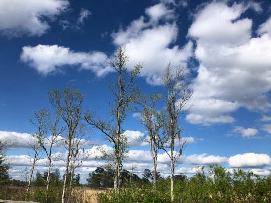 F68BDA88-8DFB-4DD6-8D98-5DE97C379E33