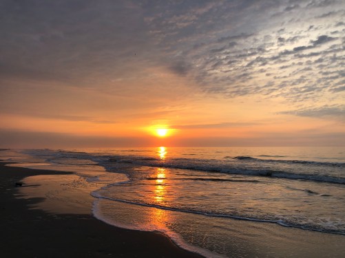 14C32D89-7397-4126-A7F7-214D0F81027F