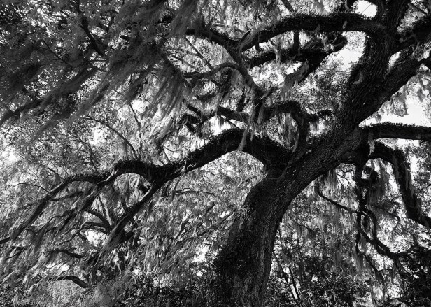 2DCFDA73-3857-4518-9219-26A383DCFD8B