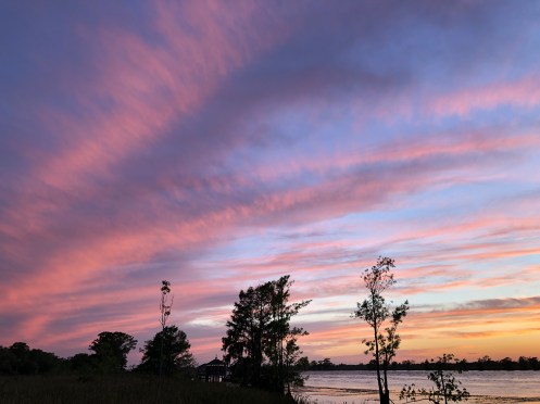 39AD446E-47F3-46DA-AC8D-0299C7571C84