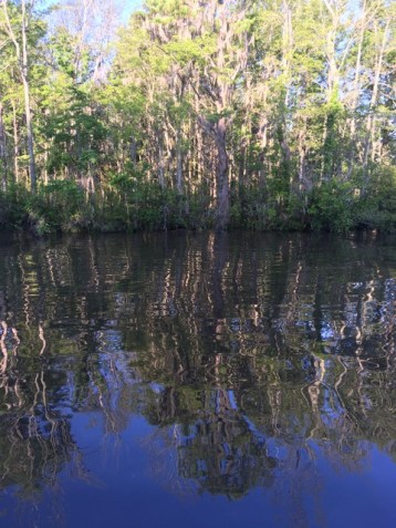 706E2AF8-3866-4DFC-A125-0C0F901CA99D