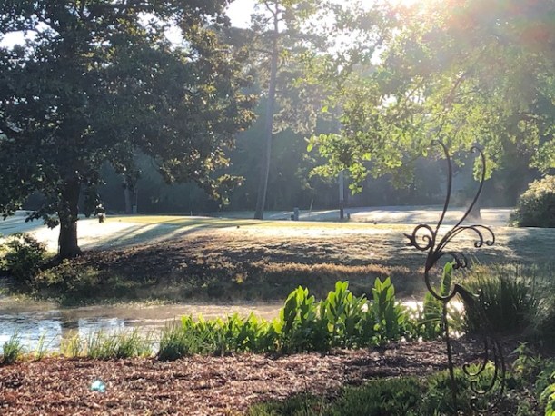 98763453-36AA-44D5-8952-9BDD0CEE8AE9