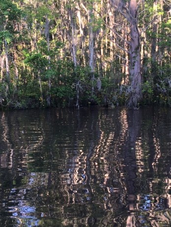 A52460C4-4B23-40DF-BA63-18C0393CB66C