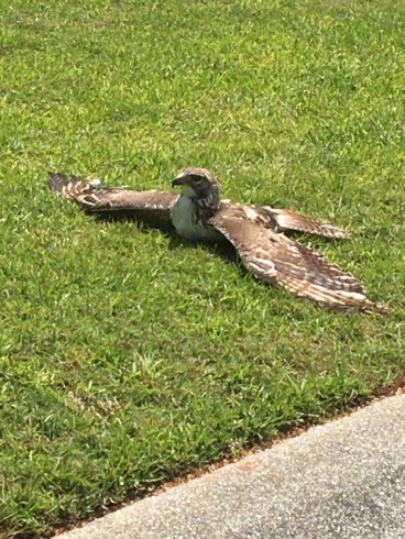 CC20FEB5-0064-49F8-841E-4C03C1518783